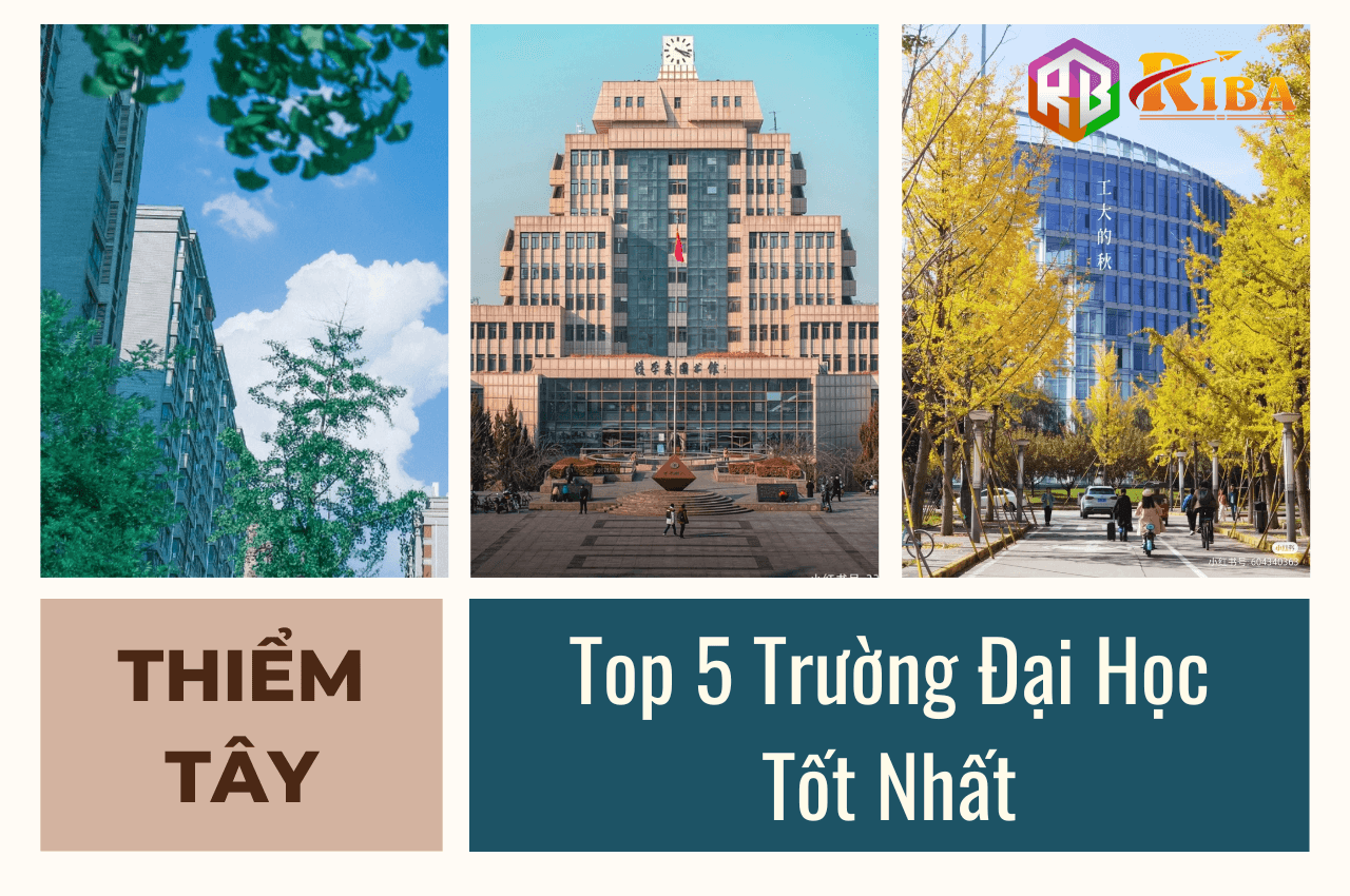 truong-dai-hoc-tot-nhat-tinh-thiem-tay
