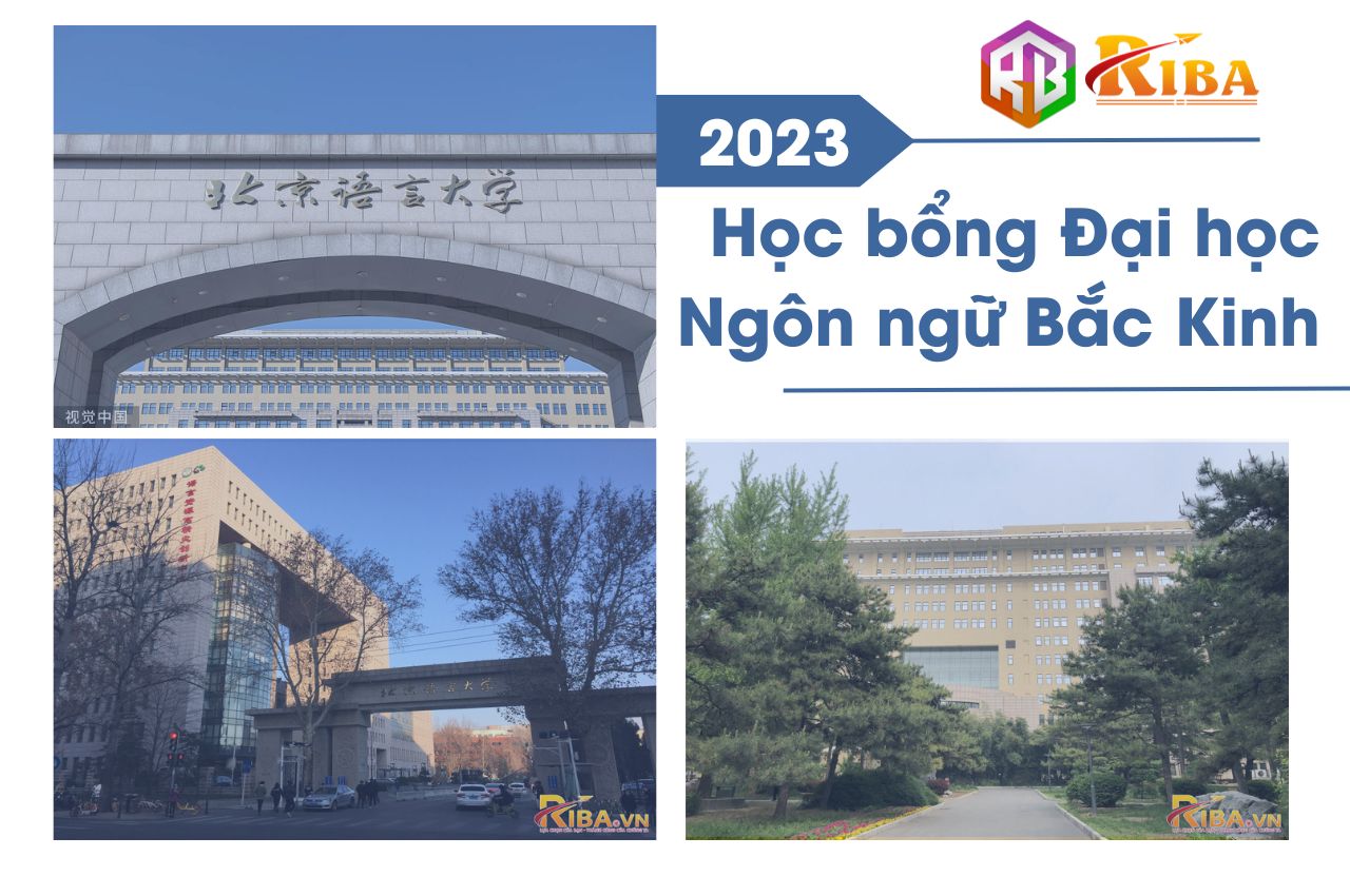 hoc bong dai hoc ngon ngu bac kinh 2023
