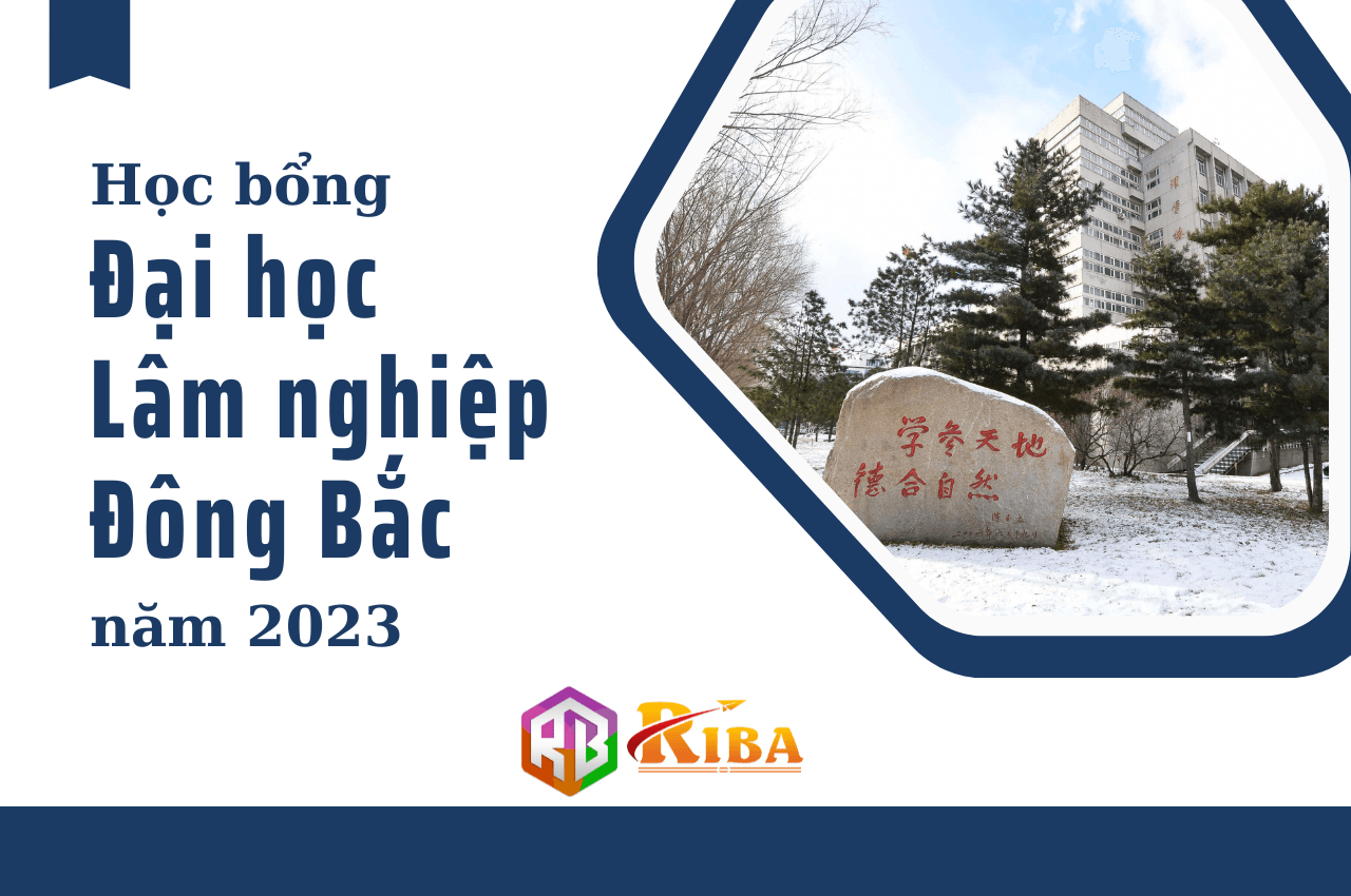 Hoc bong dai hoc lam nghiep dong bac 2023